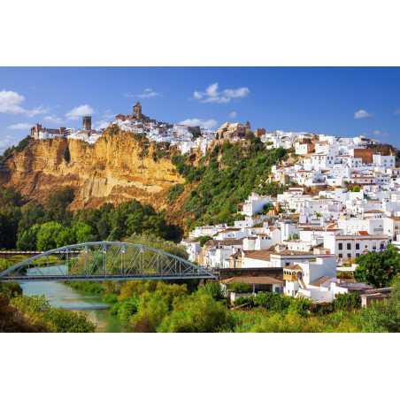 Lámina españa 66x66